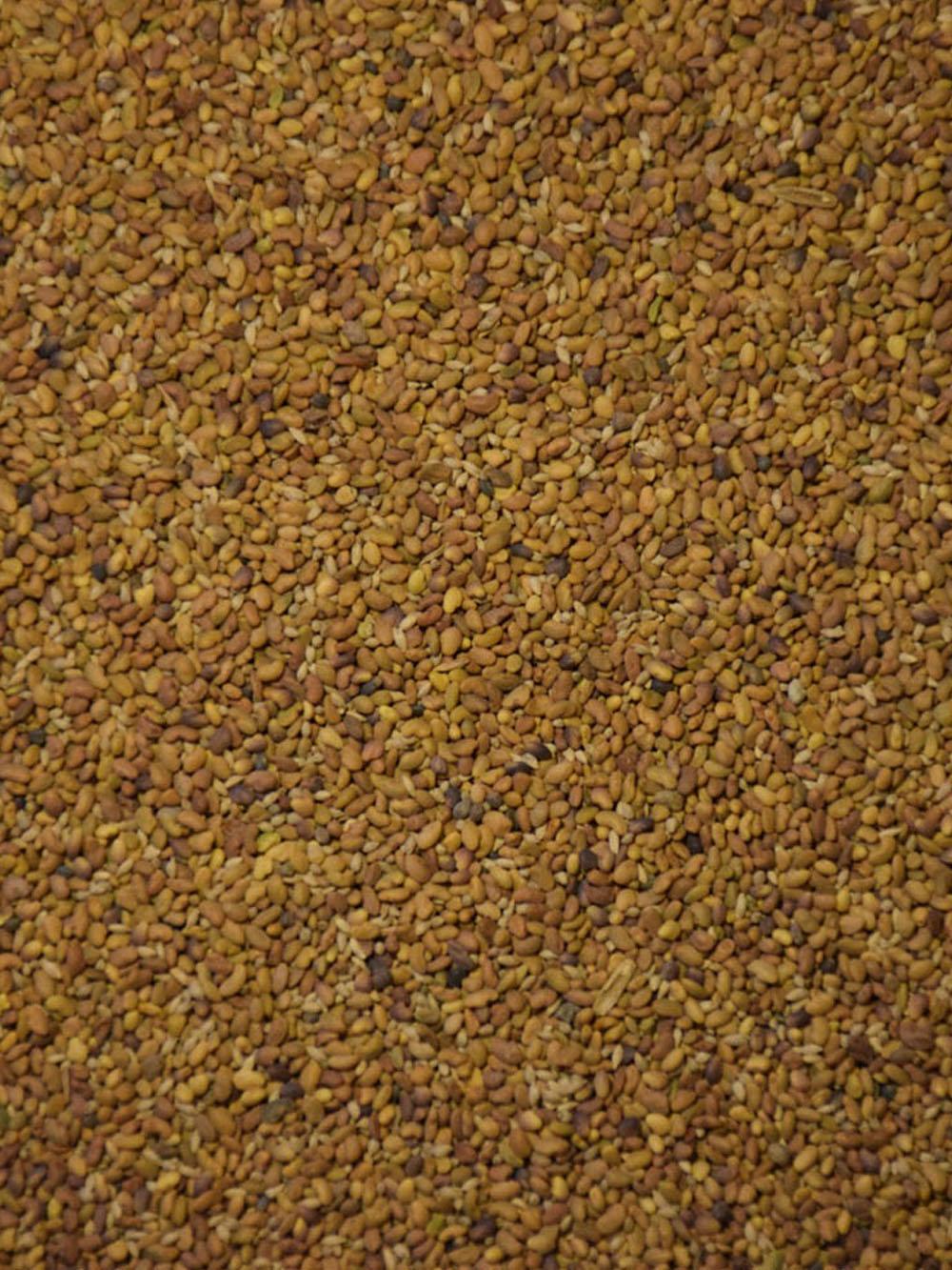 Premium Alfalfa Dairy Mix